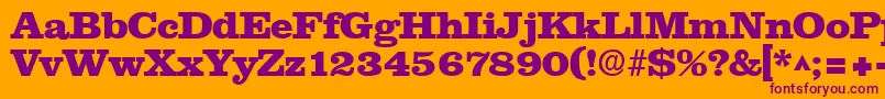 NewslineHeavySfBold Font – Purple Fonts on Orange Background