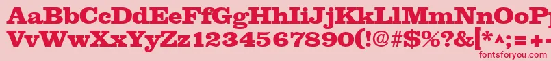 NewslineHeavySfBold Font – Red Fonts on Pink Background