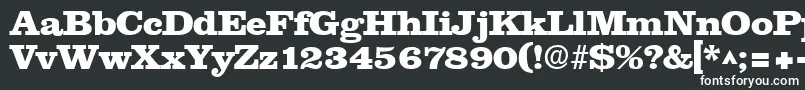 NewslineHeavySfBold Font – White Fonts