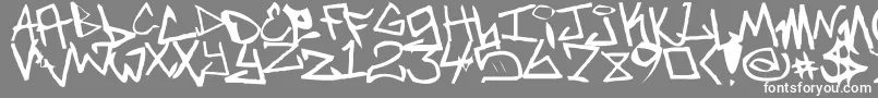 フォントNewUnicode – 灰色の背景に白い文字