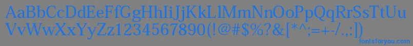 HeiseiminstdW5 Font – Blue Fonts on Gray Background