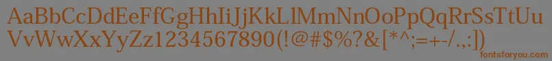 フォントHeiseiminstdW5 – 茶色の文字が灰色の背景にあります。