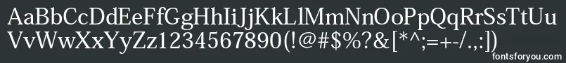 HeiseiminstdW5 Font – White Fonts