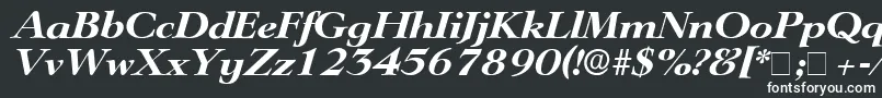 フォントTeronoDisplaySsiItalic – 白い文字