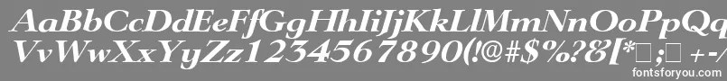 TeronoDisplaySsiItalic Font – White Fonts on Gray Background
