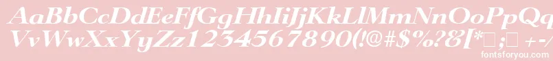 TeronoDisplaySsiItalic-Schriftart – Weiße Schriften auf rosa Hintergrund