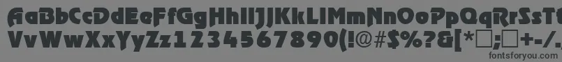 ThimbadisplaysskRegular Font – Black Fonts on Gray Background