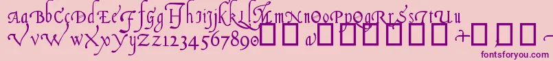 ItalianCursive16thC Font – Purple Fonts on Pink Background