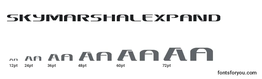 Размеры шрифта Skymarshalexpand