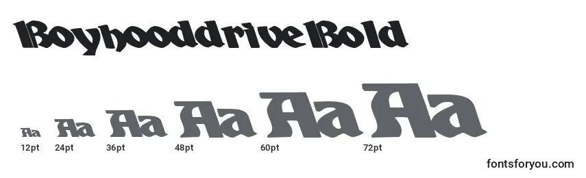 Размеры шрифта BoyhooddriveBold