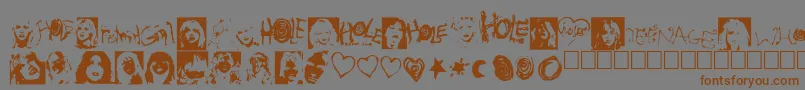 Holewebmaster Font – Brown Fonts on Gray Background