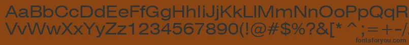 Swiss721ExtendedBt Font – Black Fonts on Brown Background