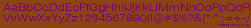Swiss721ExtendedBt Font – Purple Fonts on Brown Background