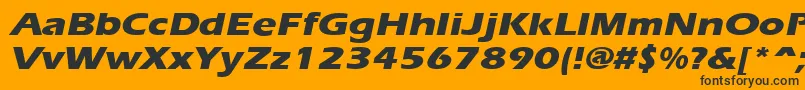 ErgoeextraboldexpandedItalic Font – Black Fonts on Orange Background