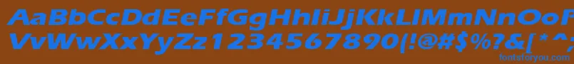 ErgoeextraboldexpandedItalic Font – Blue Fonts on Brown Background