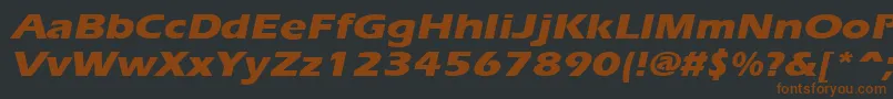 ErgoeextraboldexpandedItalic Font – Brown Fonts on Black Background