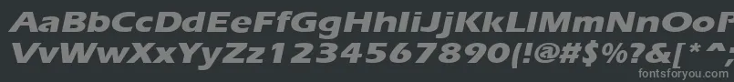 ErgoeextraboldexpandedItalic Font – Gray Fonts on Black Background