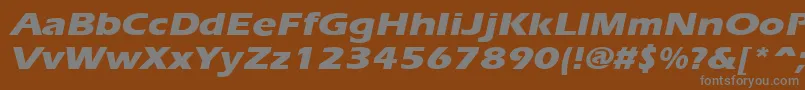 ErgoeextraboldexpandedItalic Font – Gray Fonts on Brown Background
