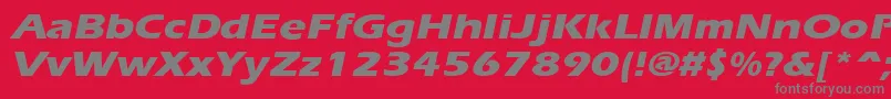 ErgoeextraboldexpandedItalic Font – Gray Fonts on Red Background