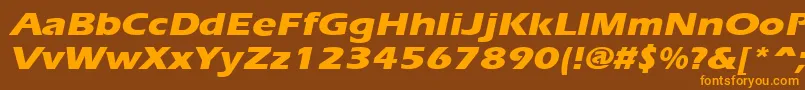 ErgoeextraboldexpandedItalic Font – Orange Fonts on Brown Background