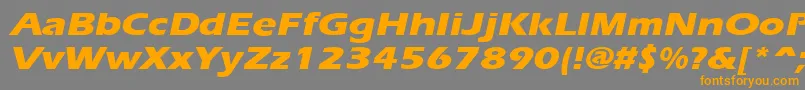 ErgoeextraboldexpandedItalic Font – Orange Fonts on Gray Background