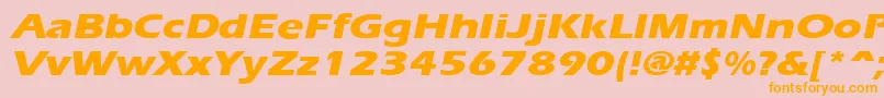 ErgoeextraboldexpandedItalic Font – Orange Fonts on Pink Background