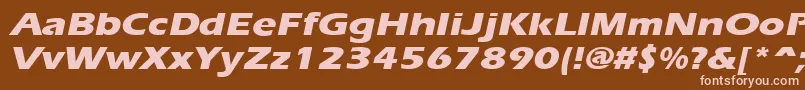 ErgoeextraboldexpandedItalic Font – Pink Fonts on Brown Background