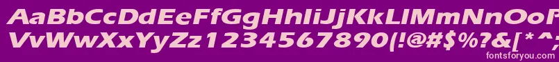 ErgoeextraboldexpandedItalic Font – Pink Fonts on Purple Background