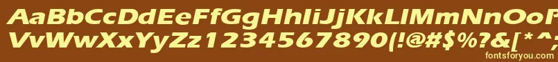 Police ErgoeextraboldexpandedItalic – polices jaunes sur fond brun