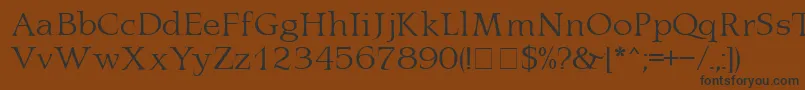 LatinaMn Font – Black Fonts on Brown Background