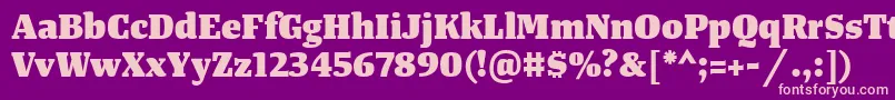 TangerserifmediumHeavy Font – Pink Fonts on Purple Background