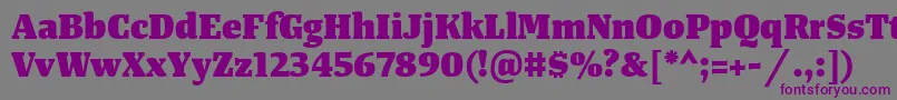 TangerserifmediumHeavy Font – Purple Fonts on Gray Background