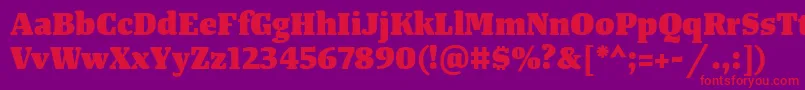 TangerserifmediumHeavy Font – Red Fonts on Purple Background