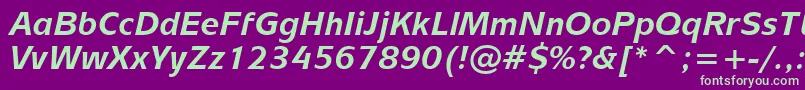 MixageBoldItalicBt-fontti – vihreät fontit violetilla taustalla