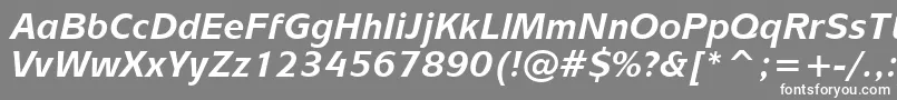 Шрифт MixageBoldItalicBt – белые шрифты на сером фоне
