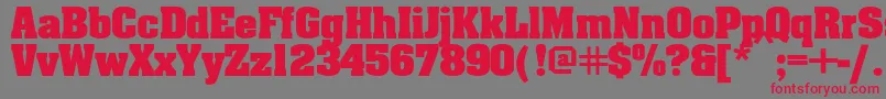 Aardv-Schriftart – Rote Schriften auf grauem Hintergrund