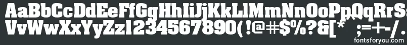 Aardv Font – White Fonts