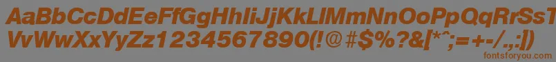 OlympiaExtraboldita Font – Brown Fonts on Gray Background