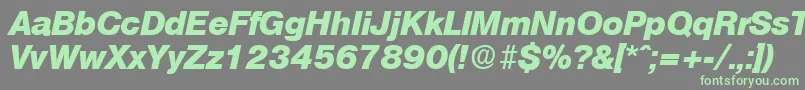 OlympiaExtraboldita Font – Green Fonts on Gray Background