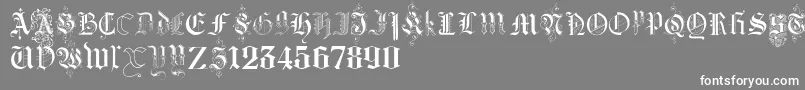 フォントKidnappedAtGermanLandsThree – 灰色の背景に白い文字