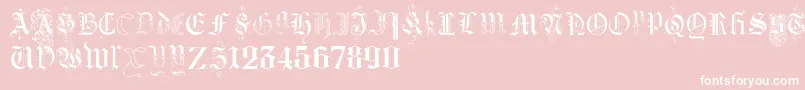 KidnappedAtGermanLandsThree Font – White Fonts on Pink Background