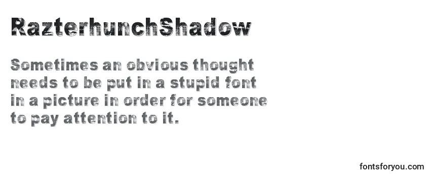 Обзор шрифта RazterhunchShadow