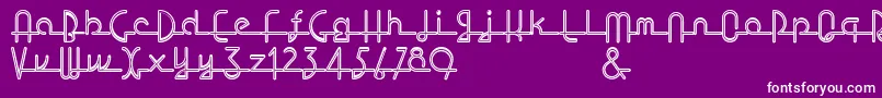 Lostwages Font – White Fonts on Purple Background
