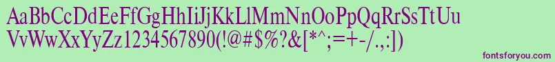 Timeset85n Font – Purple Fonts on Green Background