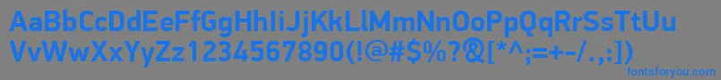 PfdindisplayproBold Font – Blue Fonts on Gray Background