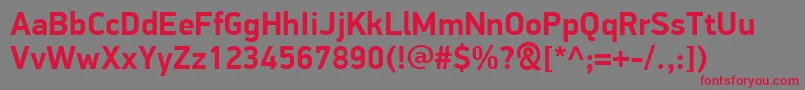 PfdindisplayproBold Font – Red Fonts on Gray Background