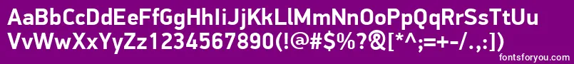 PfdindisplayproBold Font – White Fonts on Purple Background
