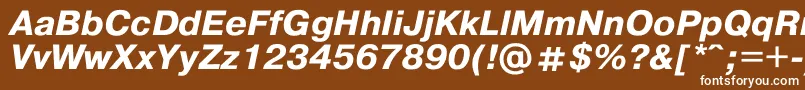 フォントPragmat2 – 茶色の背景に白い文字