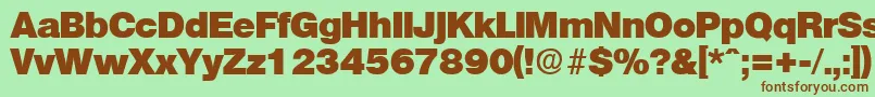 OlympiaHeavy Font – Brown Fonts on Green Background