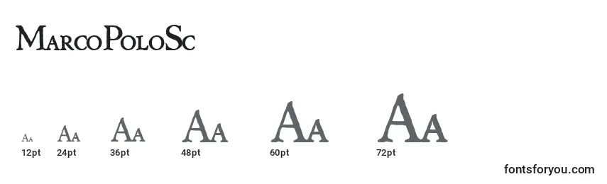 MarcoPoloSc Font Sizes